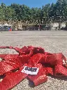 20240806_120633.webp